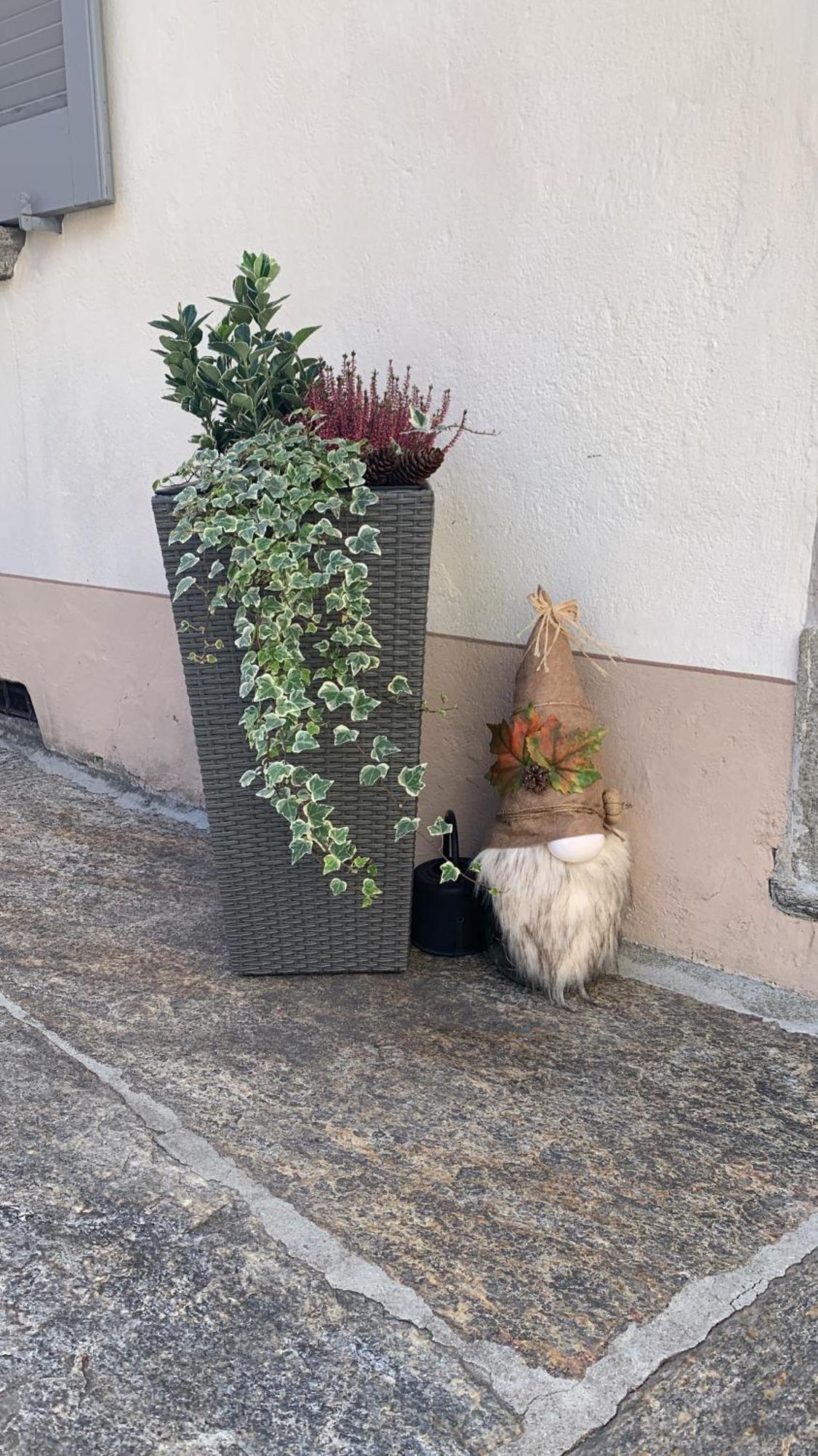 Casa Albina * Craveggia