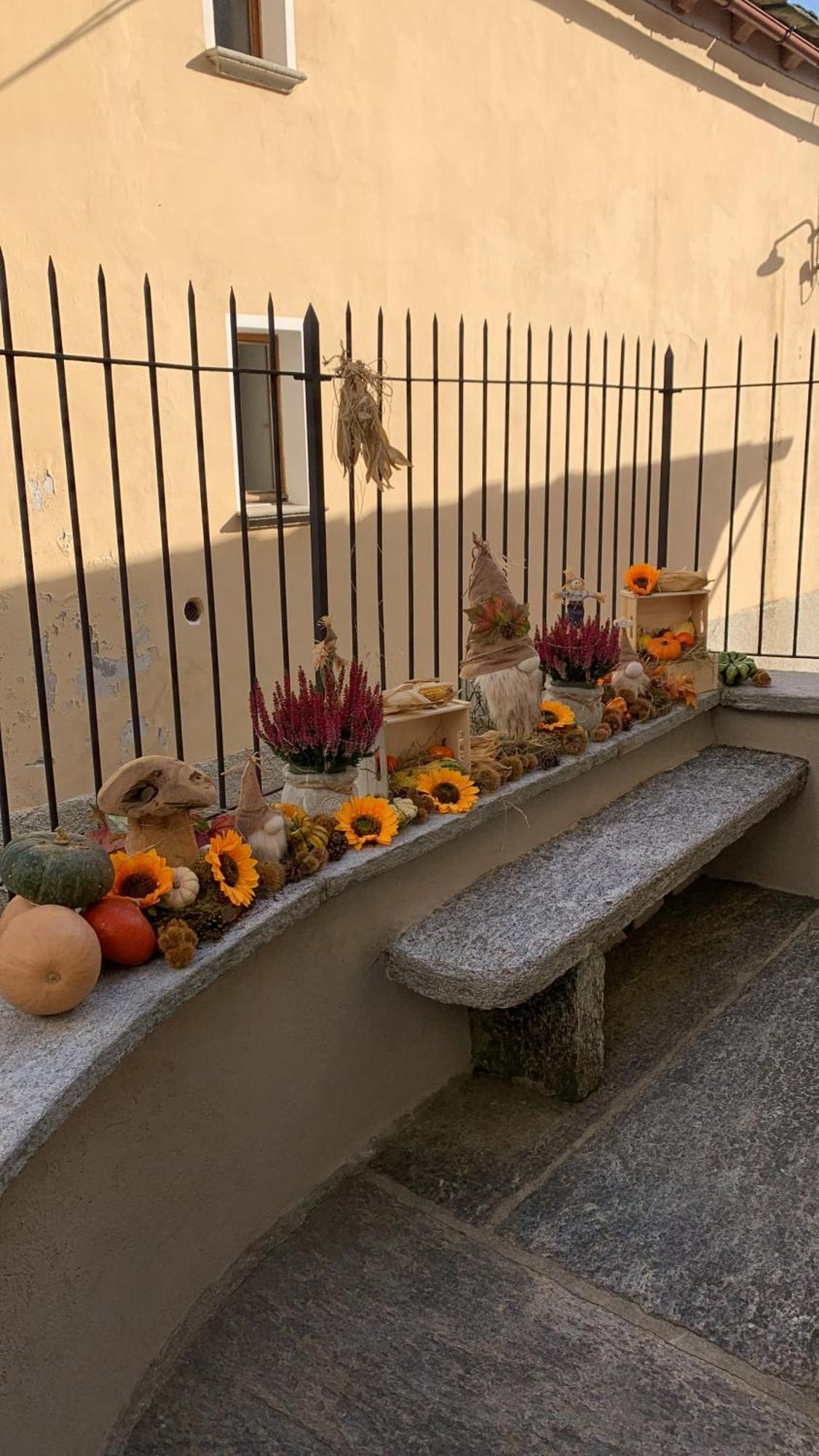 Casa Albina * Craveggia